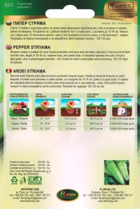 501_Striama_back copy